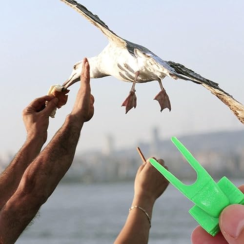 Miniatura 7 de EXCEART Jaula para pájaros, soporte para verduras, loro, fruta, horquilla, tenedor de frutas y alimentador, accesorio de clip para periquitos de