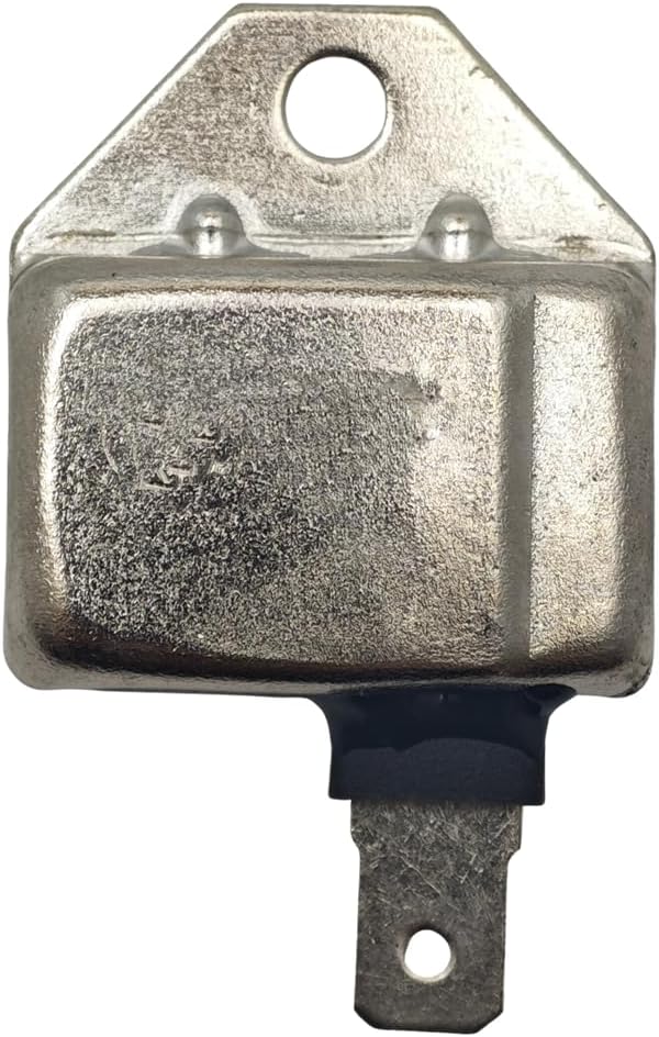 Igniter Ignition Module 21119-2161 21119-2095 for M73484 M70114 for ZF-IG-A00345 Garden Parts