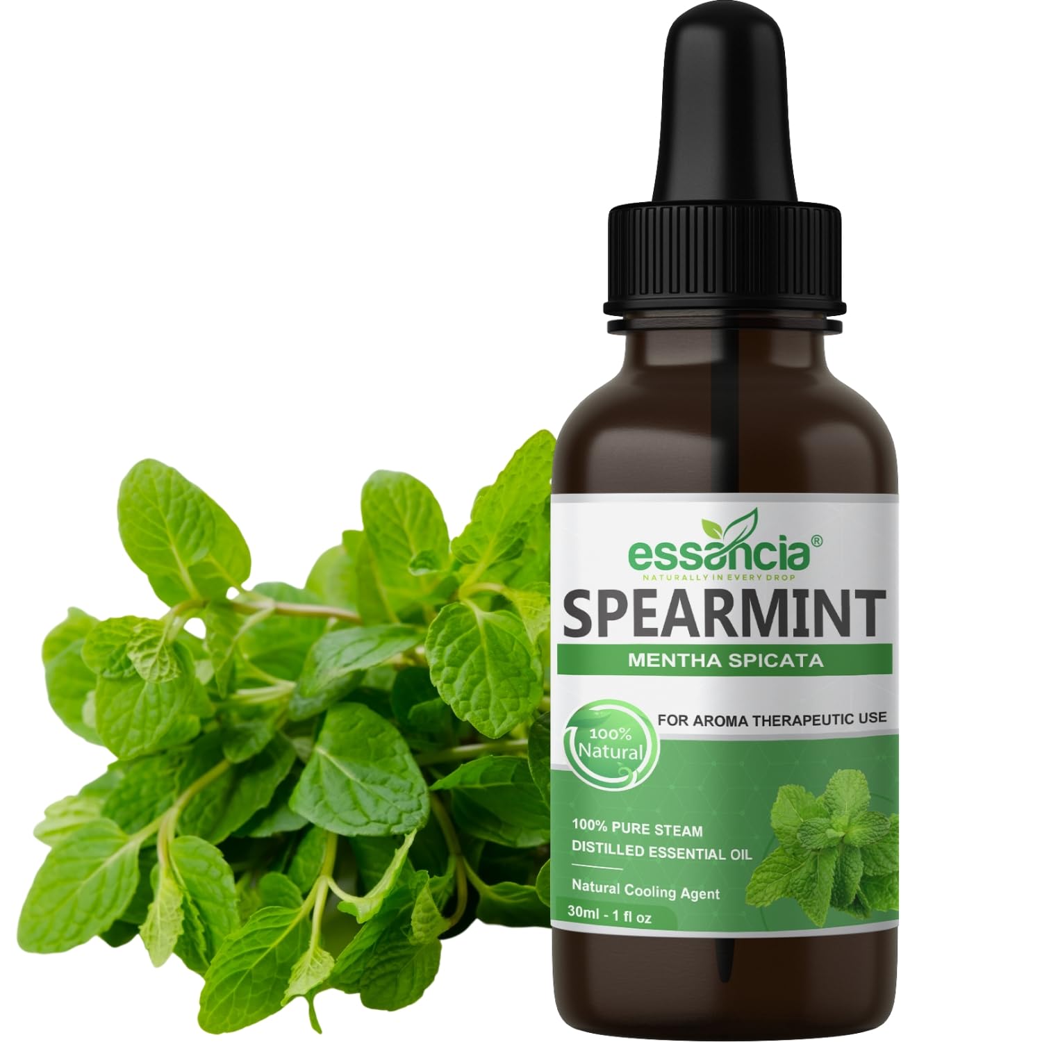 Refreshing Spearmint Essential Oil, 100% Pure, 30ml (30 ML) (B0D3XTCRPK) Amazon Price History, Amazon Price Tracker