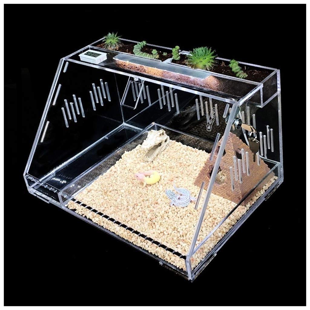 Terrario Gecko ecológico Transparente, Tienda de Mascotas, Nido Aislante para Reptiles, Tanque para Insectos hámster Erizo