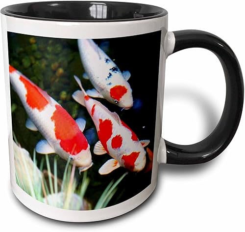 3dRose mug_62378_4 "Japanese orange n White Koi Fish" - Taza negra de dos tonos, 11 onzas, multicolor
