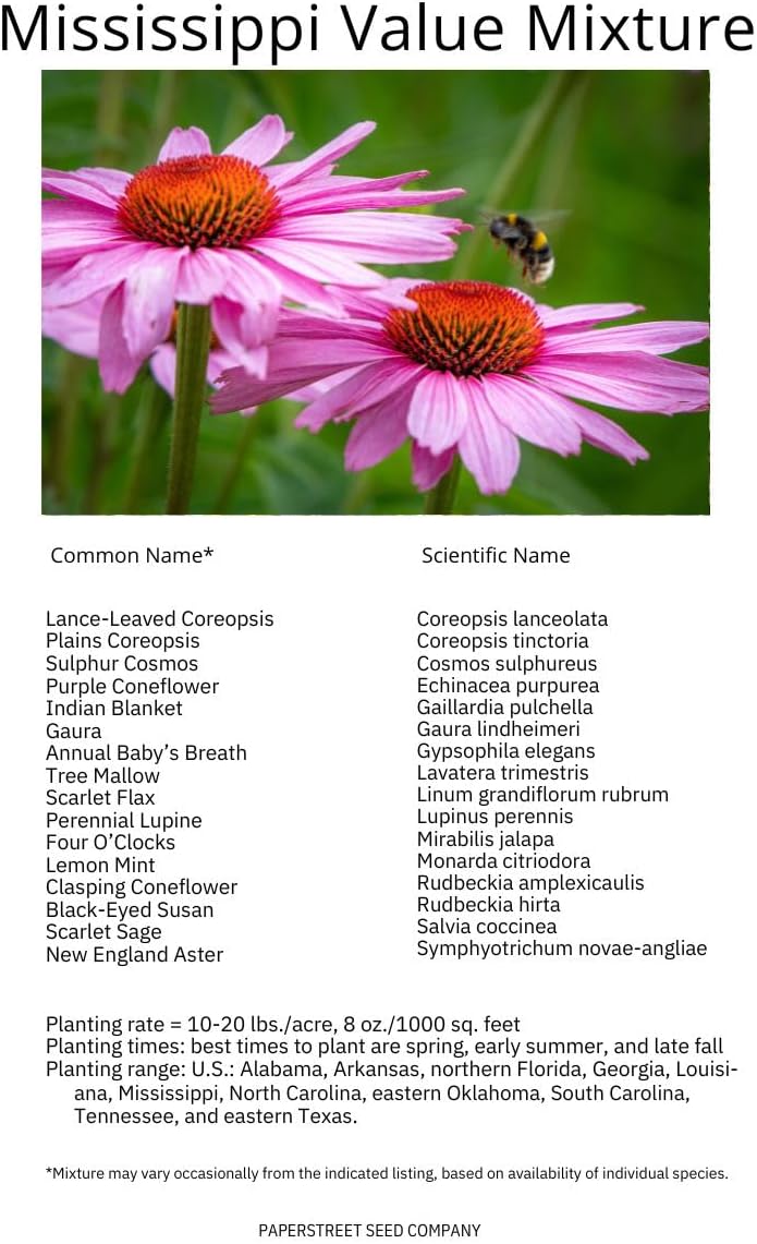 Mississippi Bulk Perennial Wildflower Seed Mix 1lb Covers 2,000sq-ft - Attract Pollinators, Multi-Color Blooms - Southeast US Species Plant in Spring/Fall, Earth-Friendly Packaging (1/2 Pound)