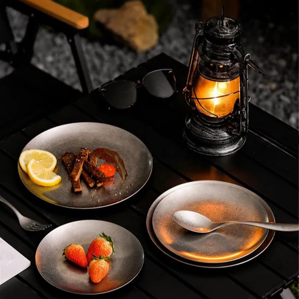 Stainless Steel Dish, 10.24"x0.51" Reusable Metal Dinner Dish for Home Kitchen Outdoor Picnic, Silver