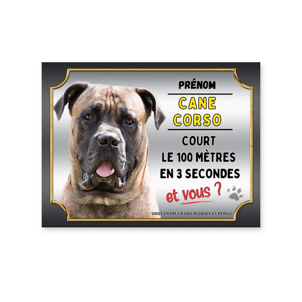 Plaque attention cane corso court le 100 mètres, panneau humour cane corso monte la garde, pancarte cane corso humour personnalisable, modèle 3