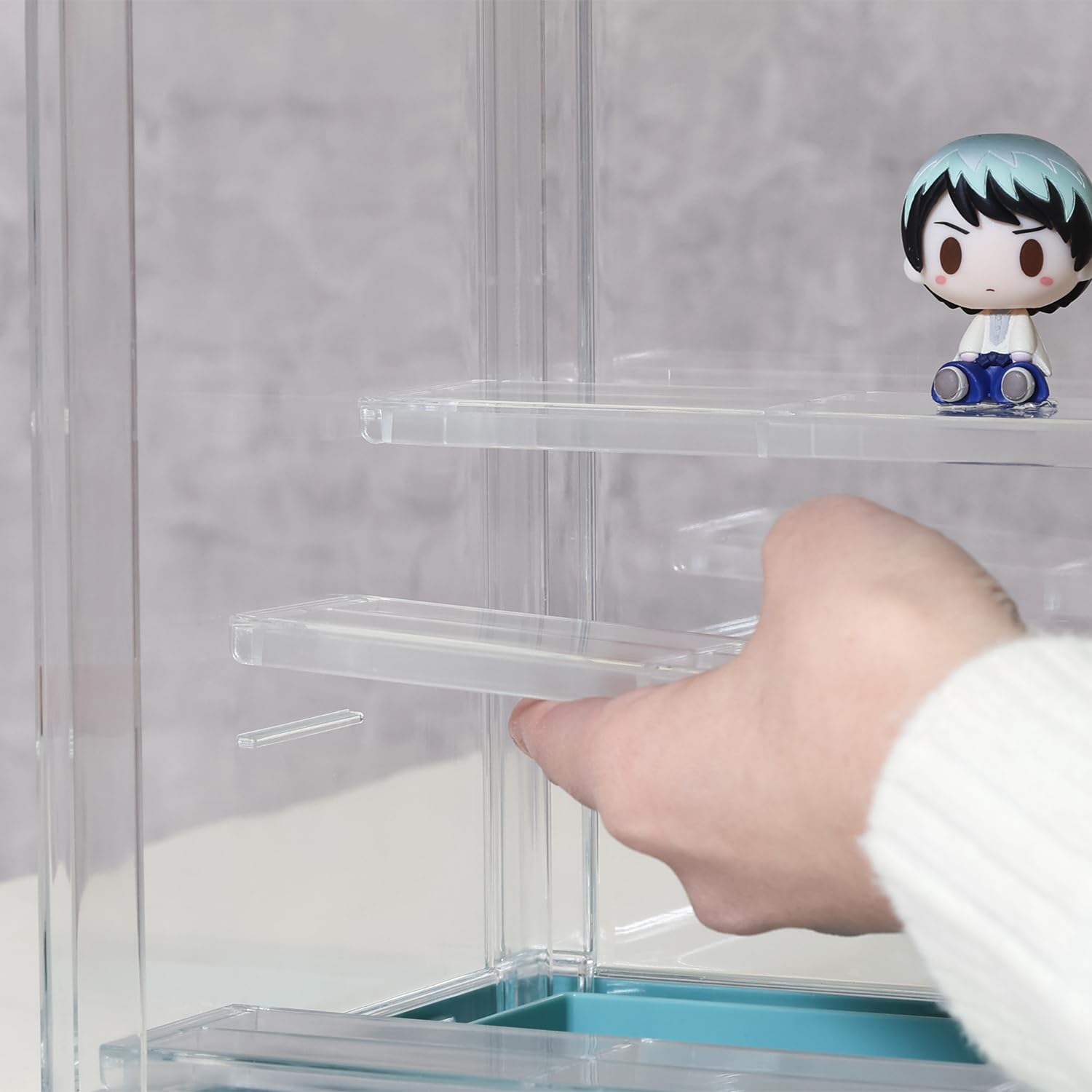 Amazon.co.jp: 不二貿易 コレクションケース アクリルケース