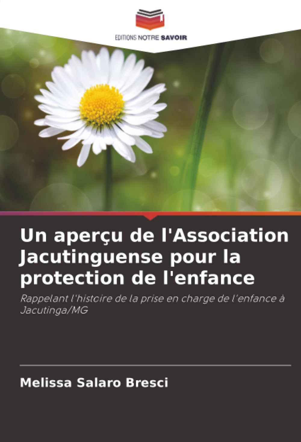 Un aperçu de l'Association Jacutinguense pour la protection de l'enfance: Rappelant l'histoire de la prise en charge de l'enfance à Jacutinga/MG