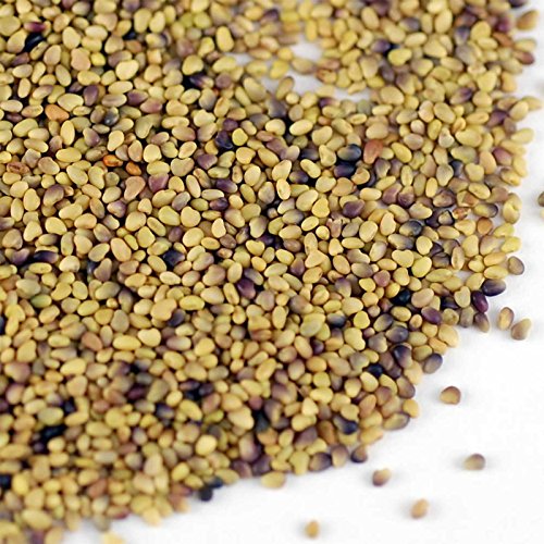 Handy Pantry Seeds Sprouting Clover, 4 Oz #TOP1