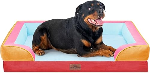 Miniatura 257 de Comfort Expression - Cama ortopédica perros pequeños, 20 x 14 pulgadas, impermeable, espuma soporte cartón de huevo, cojines extraíbles, sofá con