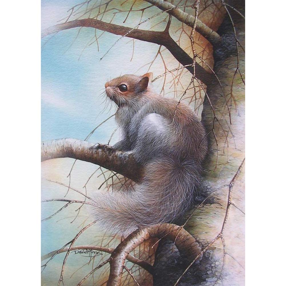 Own4b Green Diy 5D Diamond Painting By Numbers Kits, Squirrel Tree Animal, Full Drill Rhinestones Paint With Diamonds Crystal Diamond Art (Squirrel)