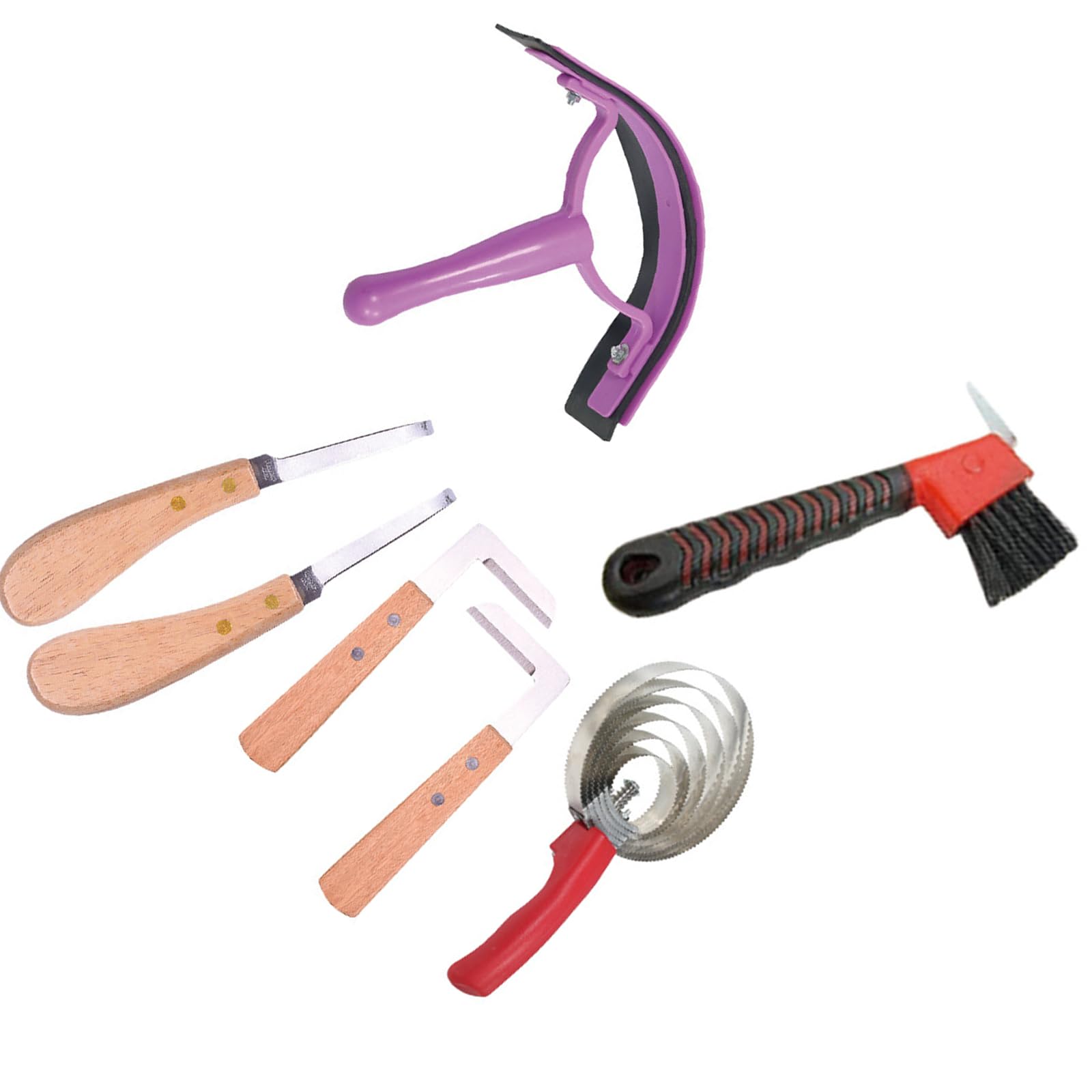 Set Strumenti Professionali per La Cura dello Zoccolo Strumento per Rifilare Lo Zoccolo in Acciaio Inossidabile con Manico in Legno per Bovini E Cura del Bestiame per Animali da Fattoria