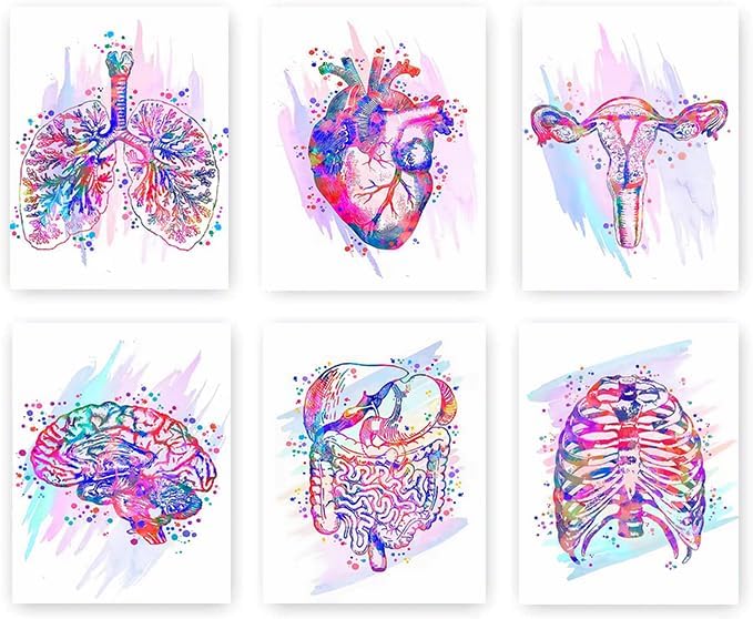 Arte de pared retro de esqueleto de corazón de anatomía de color, impresiones artísticas anatómicas médicas, para decoración del hogar, gótico,