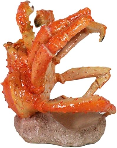 Vista 4 de Ebros Gift Náutico costero gigante araña antropópodo cangrejo botella de vino Caddy Figurine Home Cocina Comedor Fiesta Hosting Decoración Vida