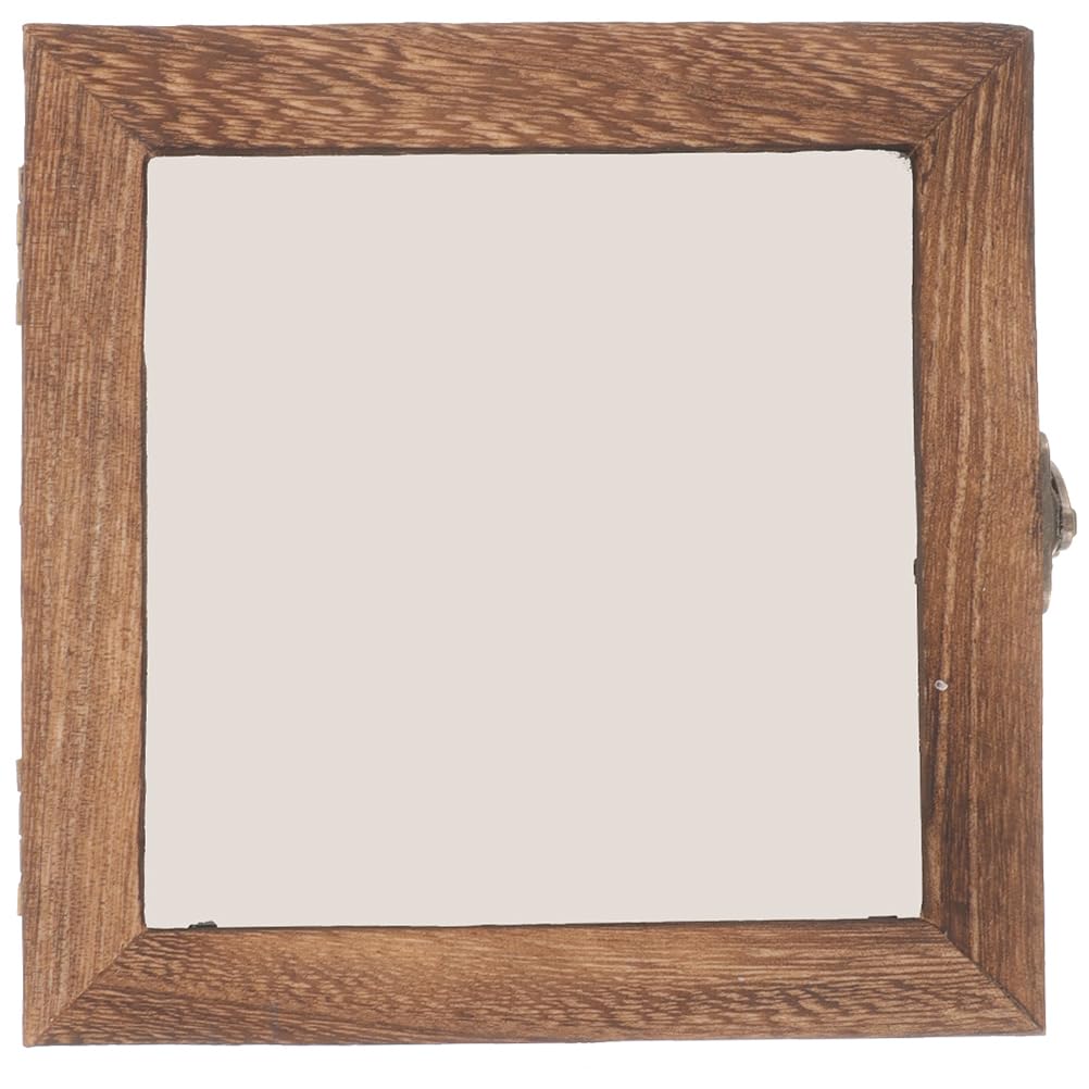 STOBAZA Vetrina in legno per campioni di insetti con coperchio trasparente, 10 x 10 x 4 cm, espositore compatto per la presentazione di farfalle e campioni di piante