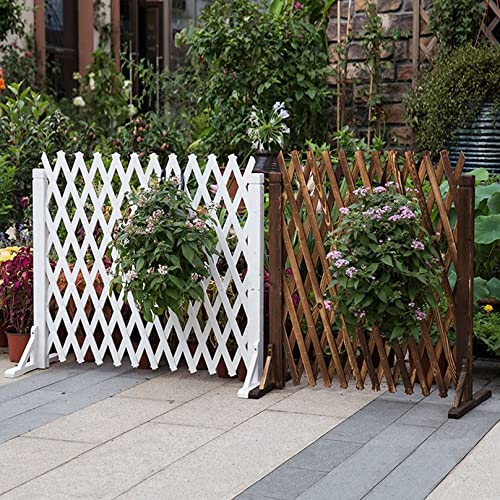 Valla extensible para perros, valla de privacidad móvil plegable, pantalla para plantas, independiente, para el hogar, patio, jardín, plantas, trepación, decoración (blanco, 160 x 80 cm)