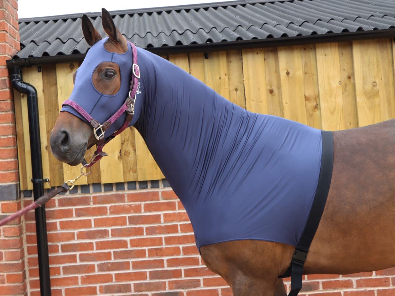 Ruggles Lycra Hood With Zip Available for Horse and Pony | Available with or without Ears | Very Useful to Keep Horse/Pony Cleaner and Keep Plaits in Place (Navy, Medium With Ears)