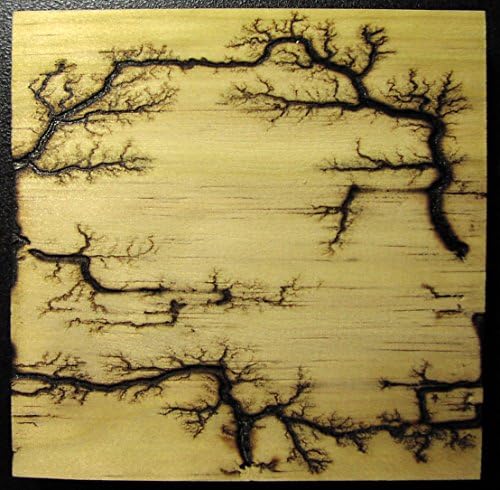 imagesco - Etched Lightning (TM) Captured in Wood. Branching High Voltage Electrical Discharge Creates One-of-a-Kind Lichtenberg Figure Artwork of Elegant Bonsai Style Zen Patterns Burned Into Wood.