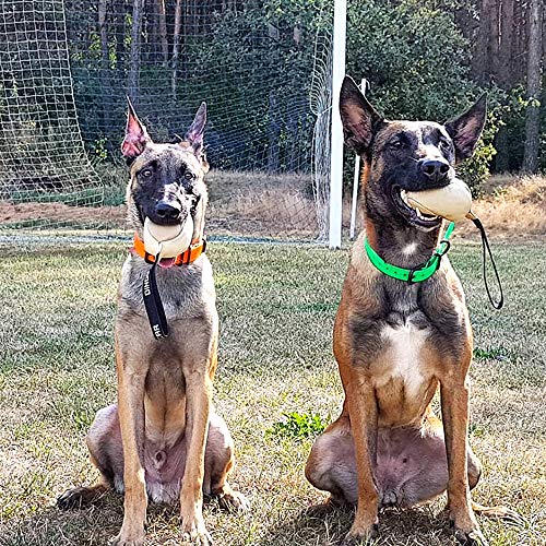 Dingo Gear S02784 Hundespielzeug, weiches Echtleder, mit Griff für das Bisstraining, Ø 8 cm, zufällige Auswahl