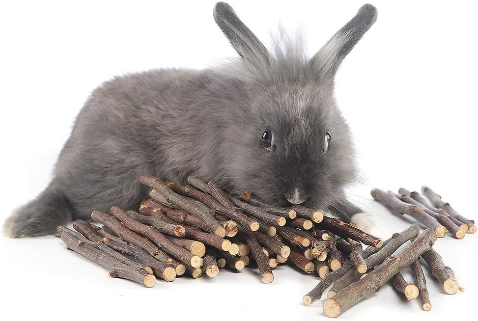 Konijn Kauw Speelgoed, 2PCS Hamster kauwspeelgoed met Apple Houten Sticks Natuurlijke Gras Cake en Gras Ball, Tanden Slijpen Speelgoed voor Bunny Hamster Papegaai Chinchilla's Cavia Gerbils Ratten
