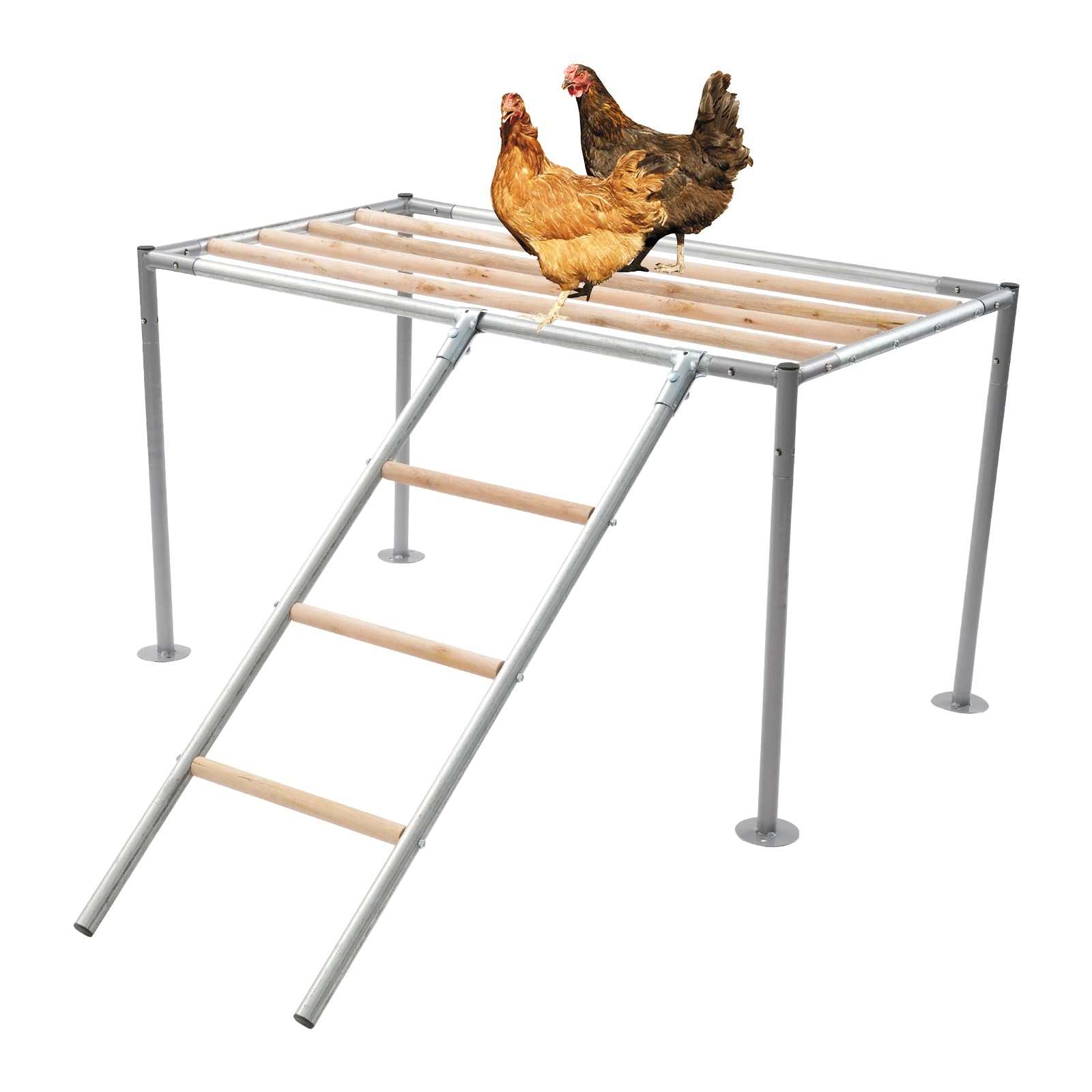 Perchoirs pour poules, plate-forme pour 10 poules adultes, accessoires de poules, balançoire pour poulaillers, fermes d'élevage, cour