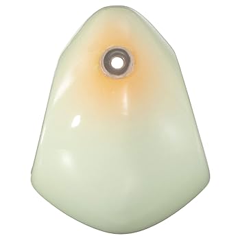 メジャークラフト TM-HEAD タイノミ交換用シンカー　45g Amazon | メジャークラフト シンカー TM-HEAD タイノミ交換用