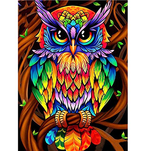 Coloré Hibou 5D Diamond Painting Kit pour Adulte, POENOEN DIY Strass Complet Diamant Peinture Set pour Enfants, Ronde Pierre Diamond Art pour Accueil/Décor/Noël (30x40cm) Cover