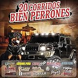 20 Corridos Bien Perrones / Various