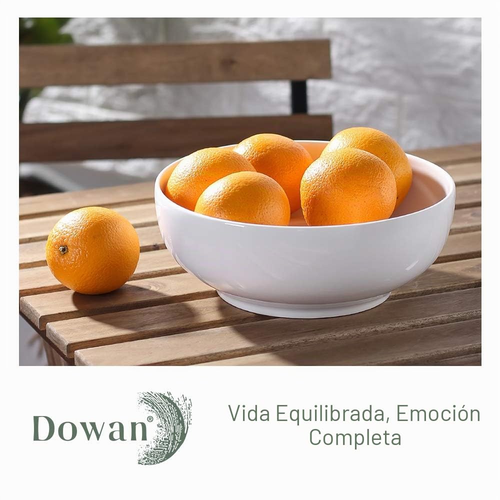 DOWAN Cuenco para Servir en Porcelana 2,65 Litros, Ensaladera Grande en Cerámica, Juego de Cuencos Grandes para Servir, Cuenco para Sopa, Ramen, Pho, Salade, Blanco, Lot de 2