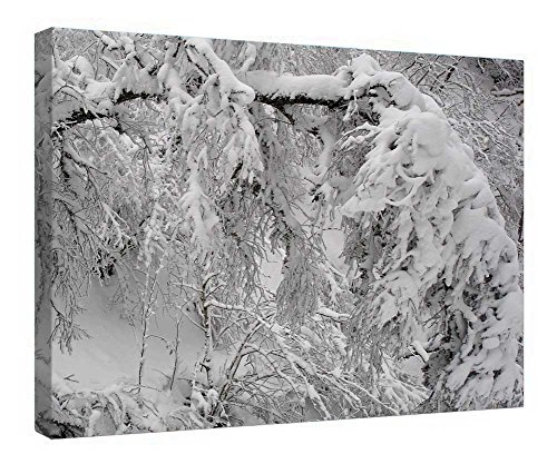 Impression sur toile murale en bois cadre blanc hiver tableau déco 40x50