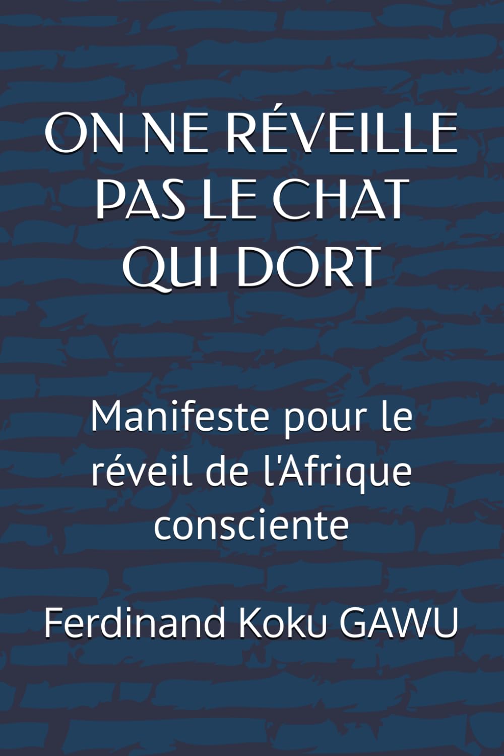 ON NE RÉVEILLE PAS LE CHAT QUI DORT: Manifeste pour le réveil de l'Afrique consciente