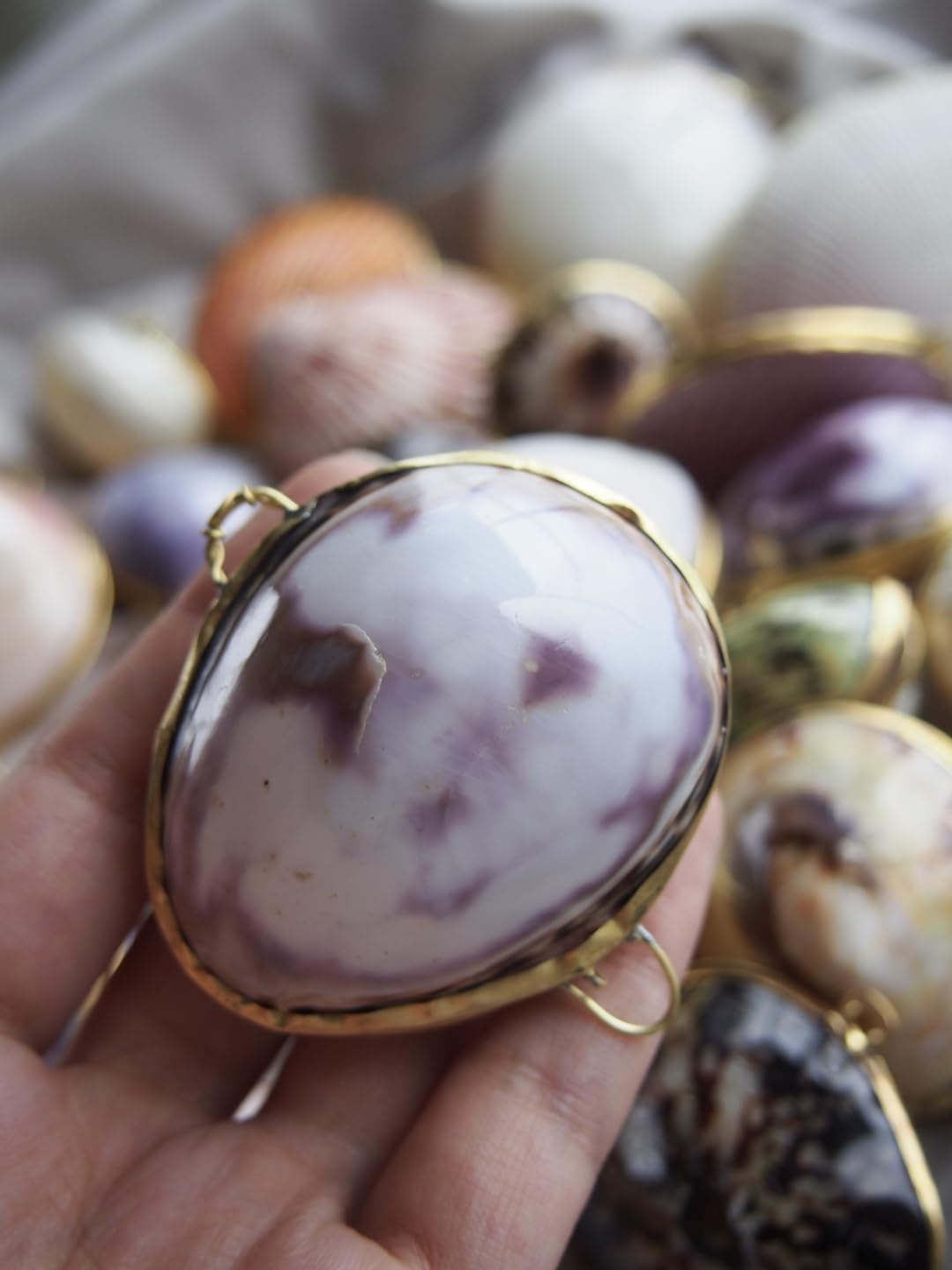 (希少)アツソデガイ　蓋付き　貝殻 Amazon.co.jp: 【貝殻の問屋さん】貝殻の小物入れ タカラガイ