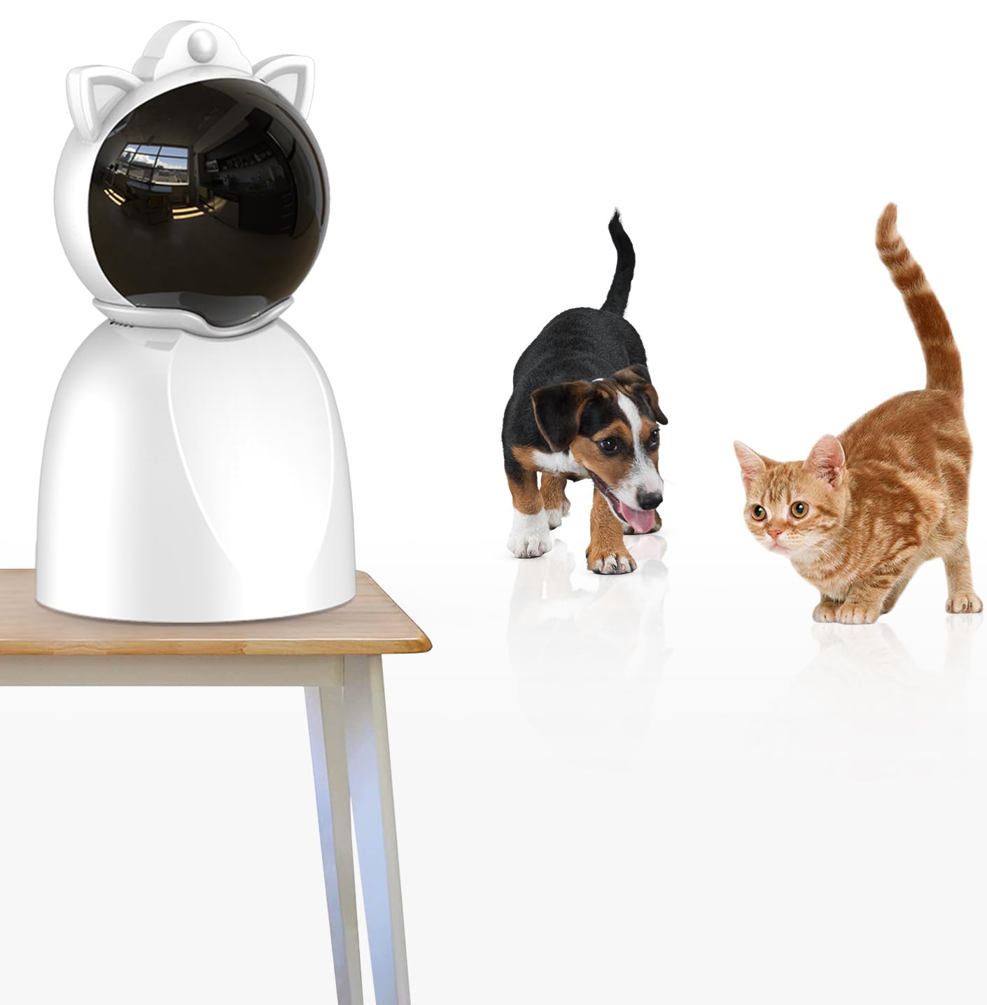 猫ナイトさま専用商品 Amazon.co.jp: Petiepawインタラクティブな猫のおもちゃ LED