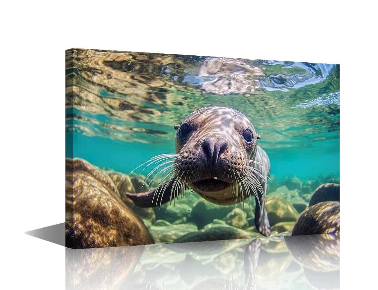 Ocean Animals Canvas Wall Art Close up of a Seal in the Water Posters Prints Artwork 1 Panel Contemporary Home Decor Stretched Canvas Picture for Living Room Bedroom Home Office Decor 24x16 in