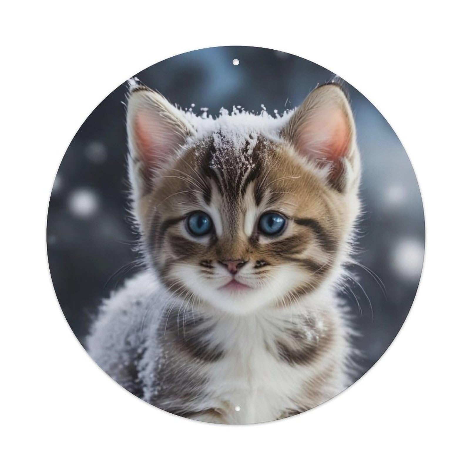 Animal Artwork Cute Kitten in Snowy Weather Metal Tin Sign