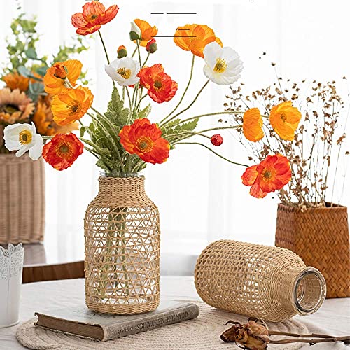 Tiamu Glasvase Decoratif für Pampasgras, Paille Vase en Verre Transparent, Blumenvase für Hydrokultur Pflanzen Tulipes, Pot de Fleurs Japonais Centre de Table für Mariage Bureau Home (10.5 * 20 * 7CM)