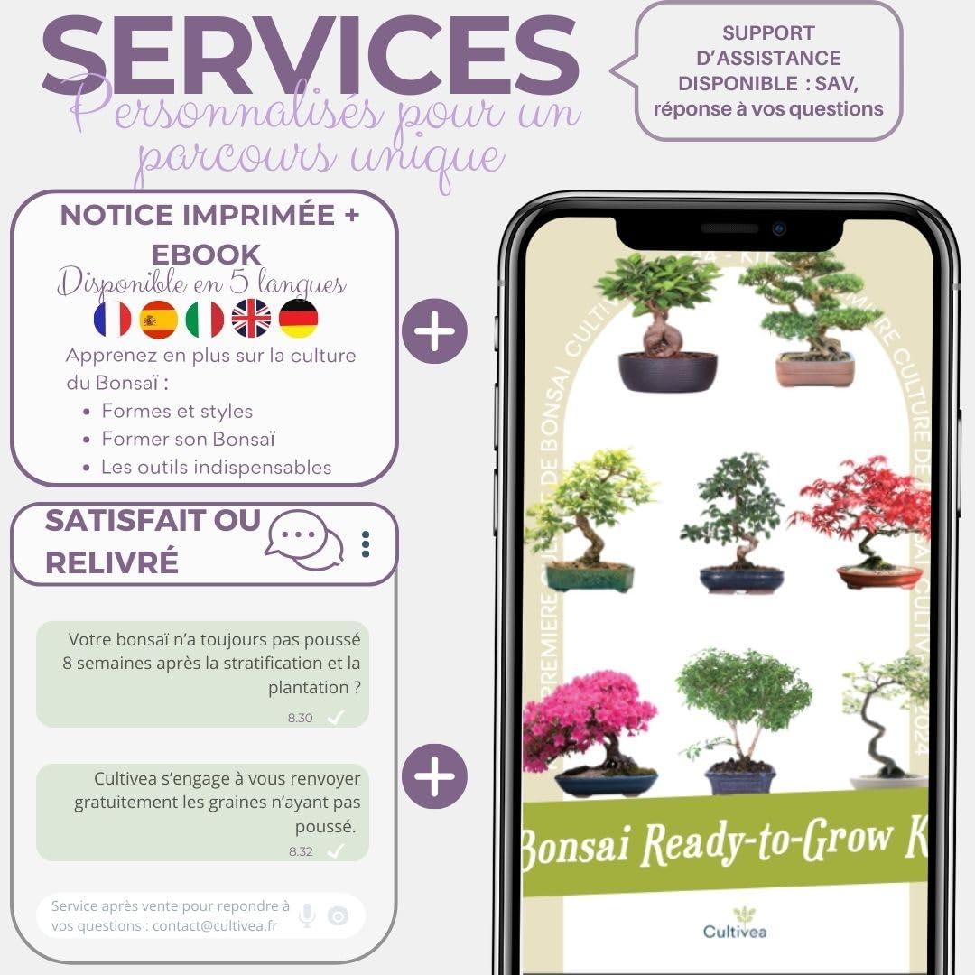CULTIVEA® Kit First Bonsai - Kit de première culture de Bonsaï - Prêt à Pousser avec Graines & Accessoires - Made In France (Cercis Chinensis)