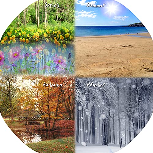 Tiger Moon The Tiger Moon Trading Company Ltd Four Seasons Vinyl Tuff Tray Insert - 60 x 60 cm - Ideal for Mini Tuff Spot Tuff Tray - Tuff Tray NOT Included