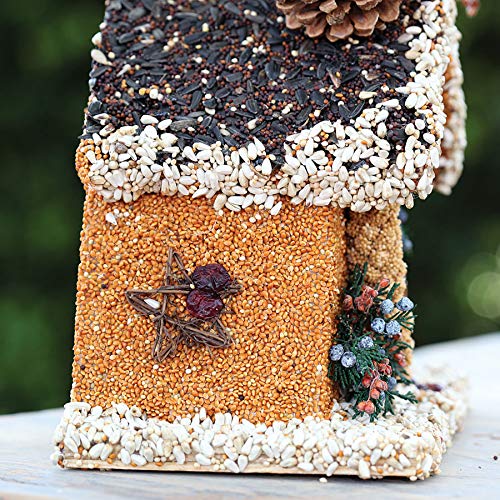 Jackson & Perkins Birdseed Chalet Bird Seed House
