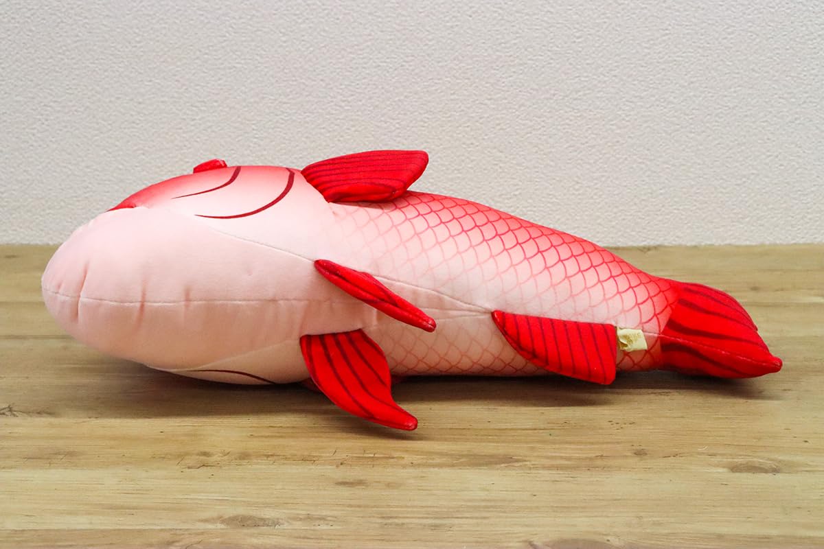 Amazon.co.jp: テイクオフ ぬいぐるみ 海と魚 コブダイ : おもちゃ
