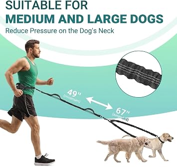 Hands Free Dog Leash 2 Dogs,Waist Leash for Dog Walking (Meidum) | Two Dog Leash No Tangle,Double Dog Leashes with Waist Belt,Zipper Pouch,Two Shock Absoring Bungee,Integrated Waist Bag Belt