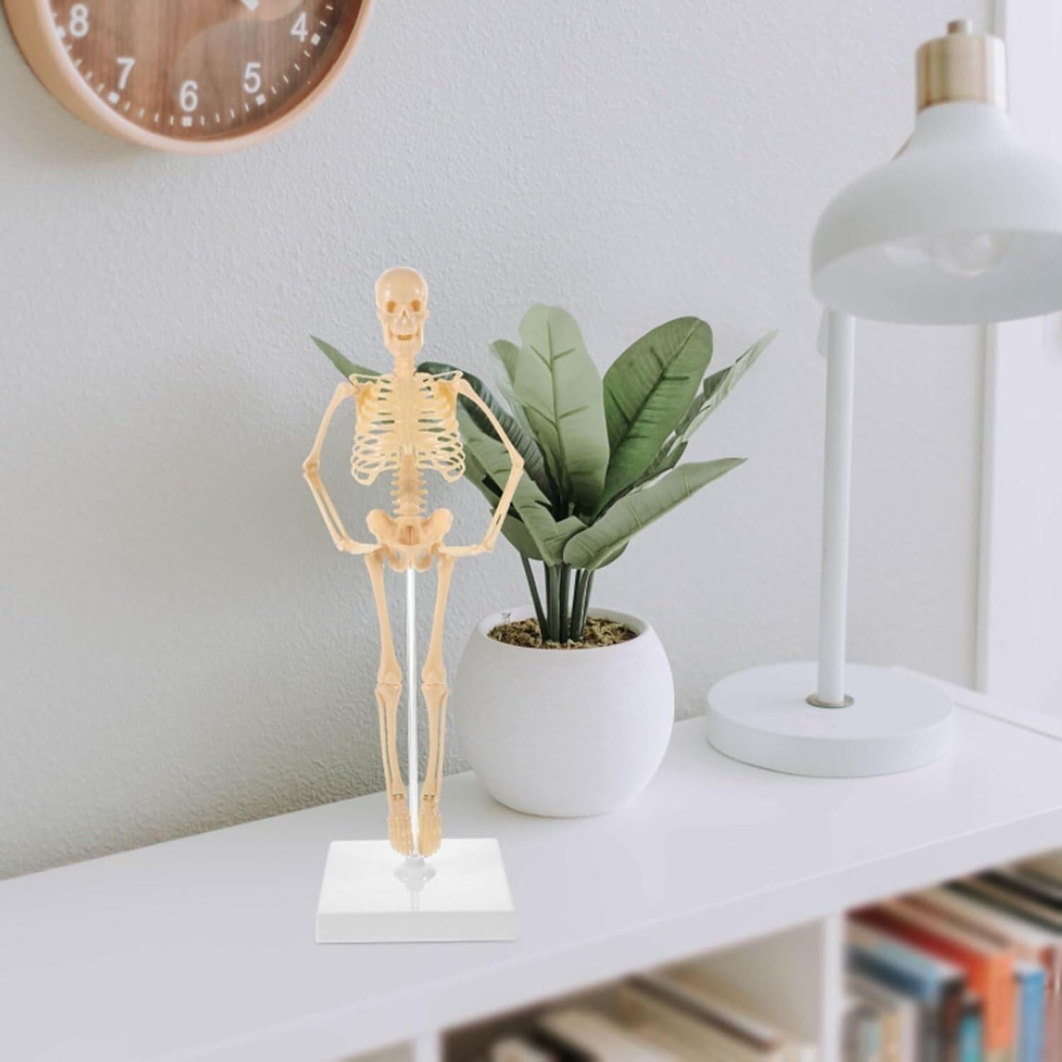 Model ludzkiego szkieletu do nauki anatomii, figurka edukacyjna do samodzielnego montażu z podstawą