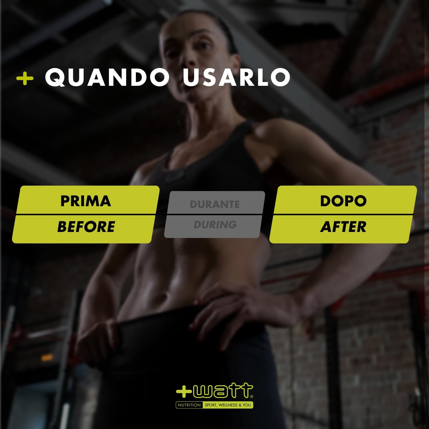 WATT - Proteína + Classic - Barritas de proteínas (24 x 40 g)
