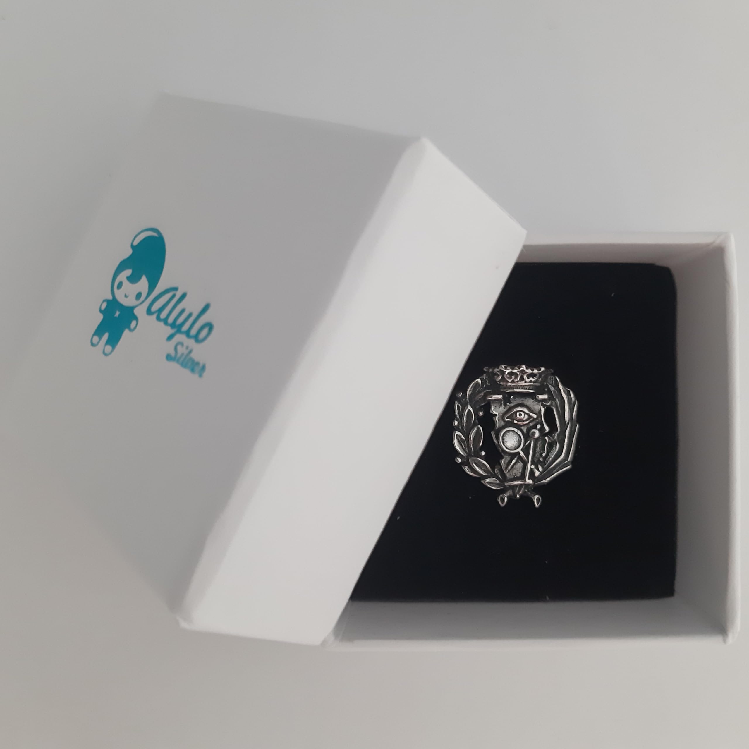 Insignia Profesional de Ciencias Exactas Pin para Hombre Mujer en Plata 925 con Caja para Regalo