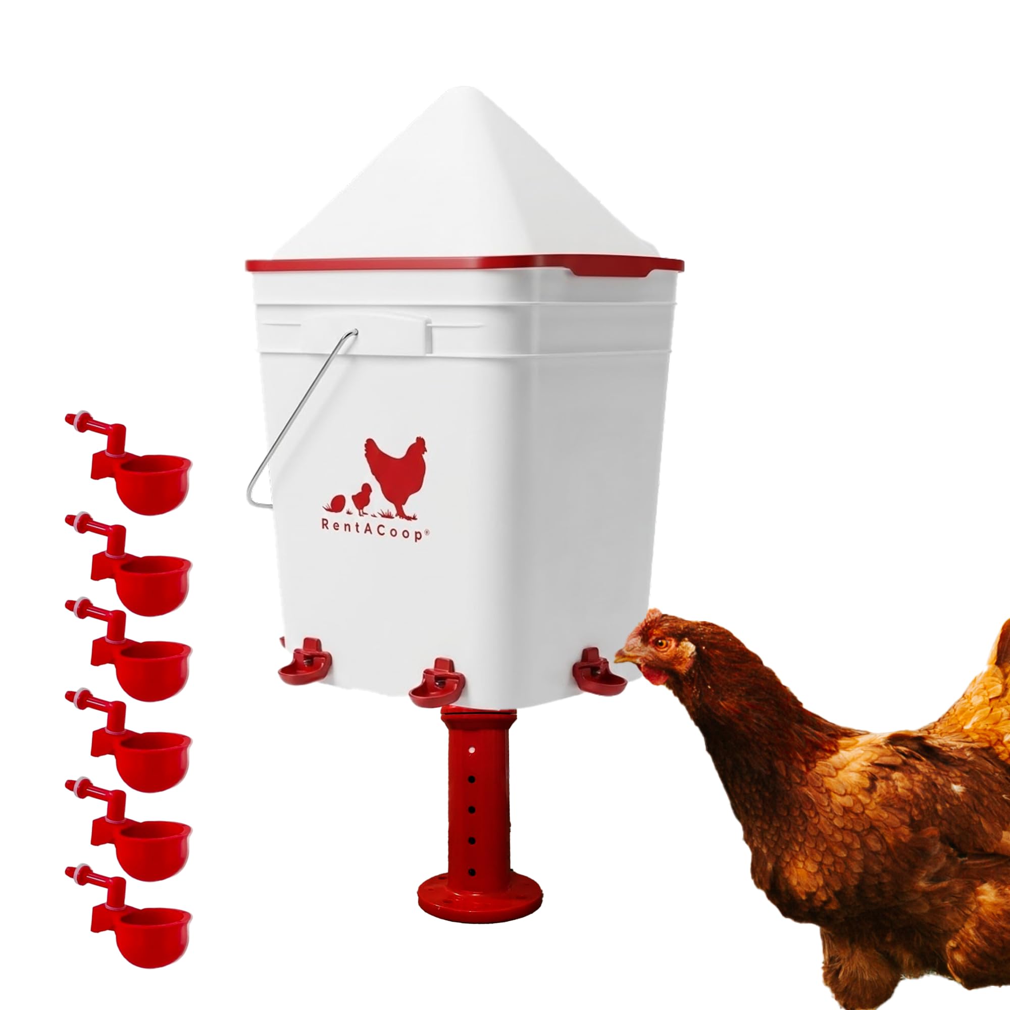 RentACoop 5 Gallon Chicken Waterer