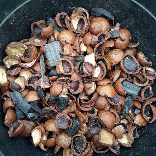 Kit 3 Pacotes Substrato Casca Macadâmia Plantas E Orquídeas