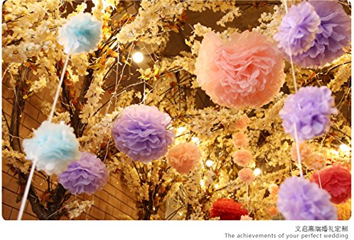Saitec ® 12Pcs Mixed Sizes White & Silver Tissue Paper Pom Poms Pompoms Wedding Birthday Party Decoration Holiday Supplies #TOP7