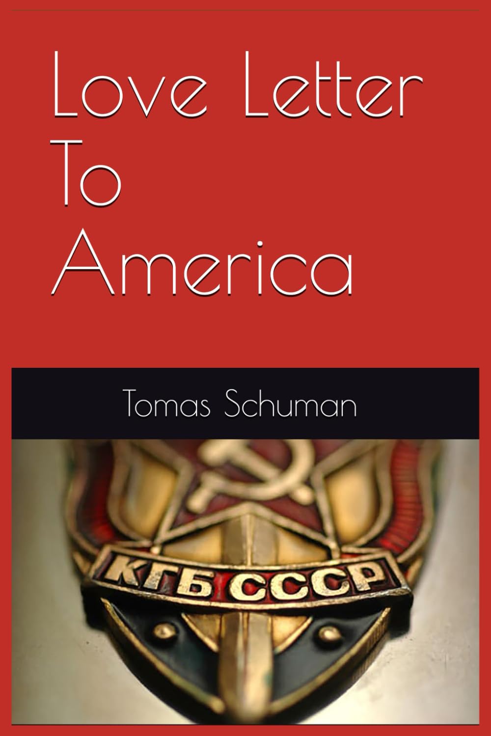 Love Letter To America (Political Thought Series)      Paperback – April 12, 2021