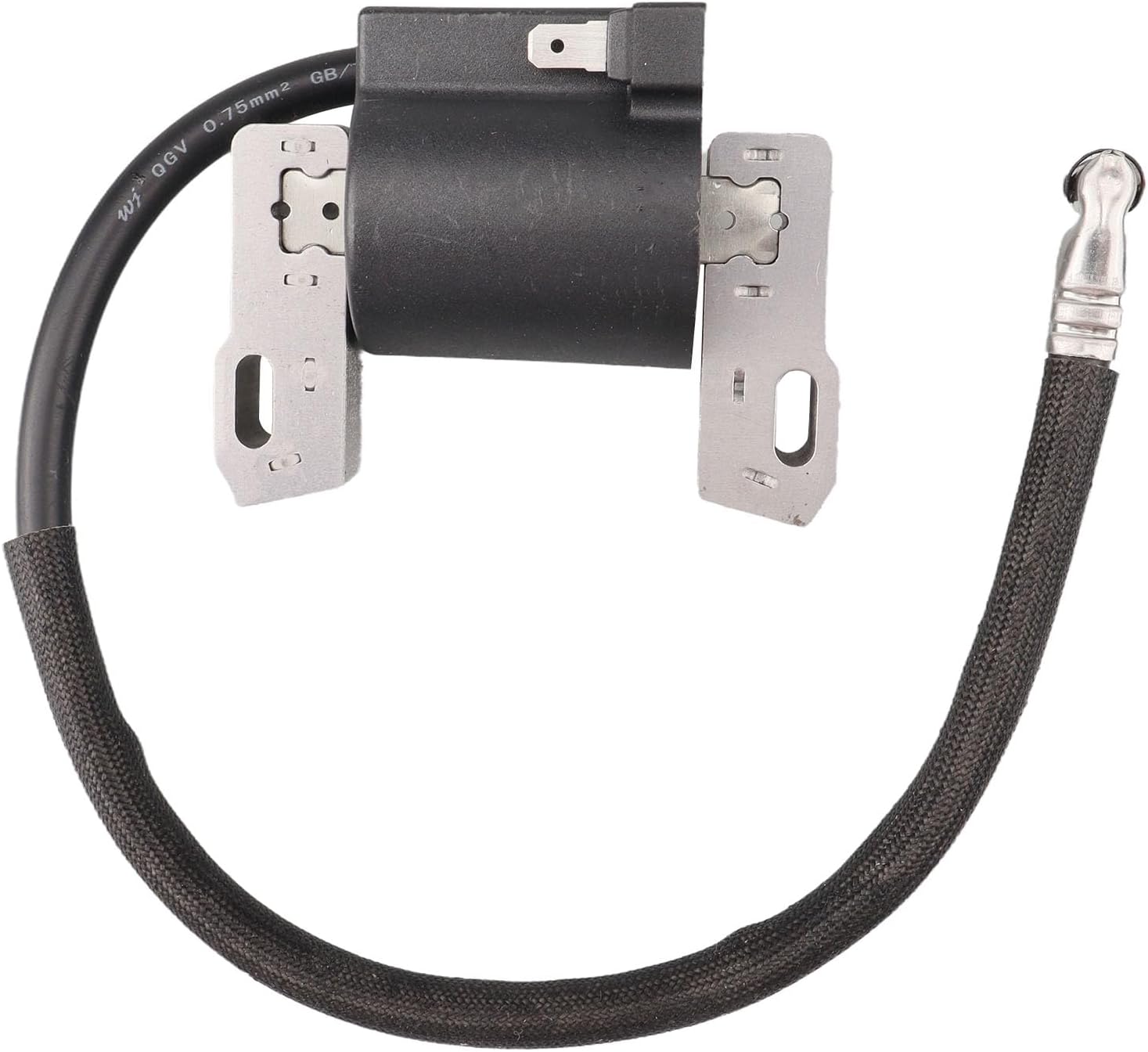 592846 Ignition Coil with Spark Plug for 799651 499447 404577 405577 405777 407777 40H777 445777 446977 40G777 543477, 12 58404S