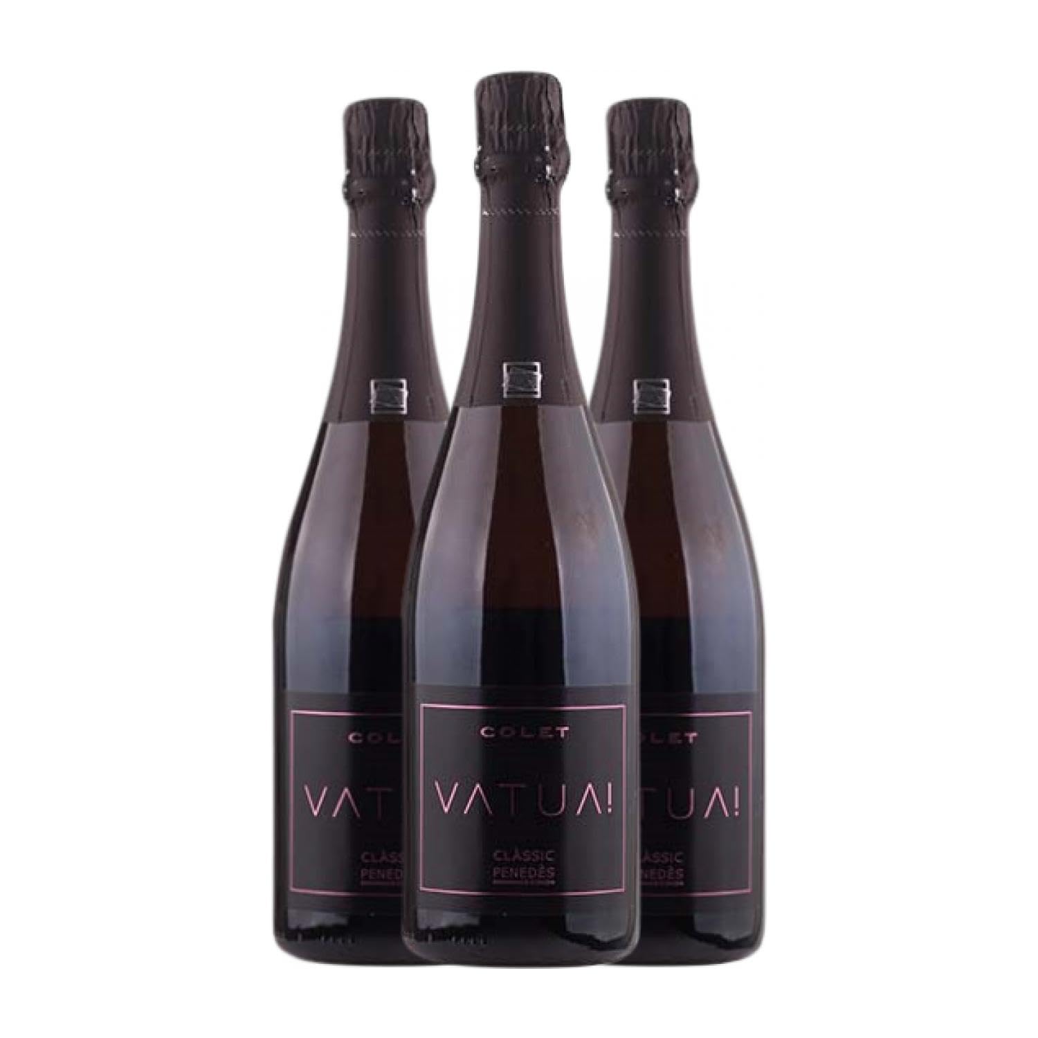 Colet Vatua Rosé Clássic Merlot Extra Brut Penedès 75 cl Rosé Sekt (Karton mit 3 Flaschen von 75 cl)
