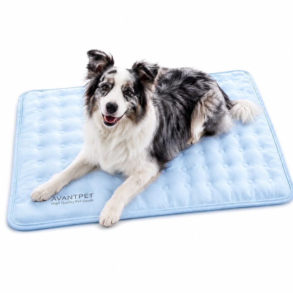 Tapis rafraîchissant en gel non toxique pour chien Bleu ciel | Gel non toxique de qualité alimentaire, inhibition brevetée de 99 % des moisissures, surface imperméable réversible