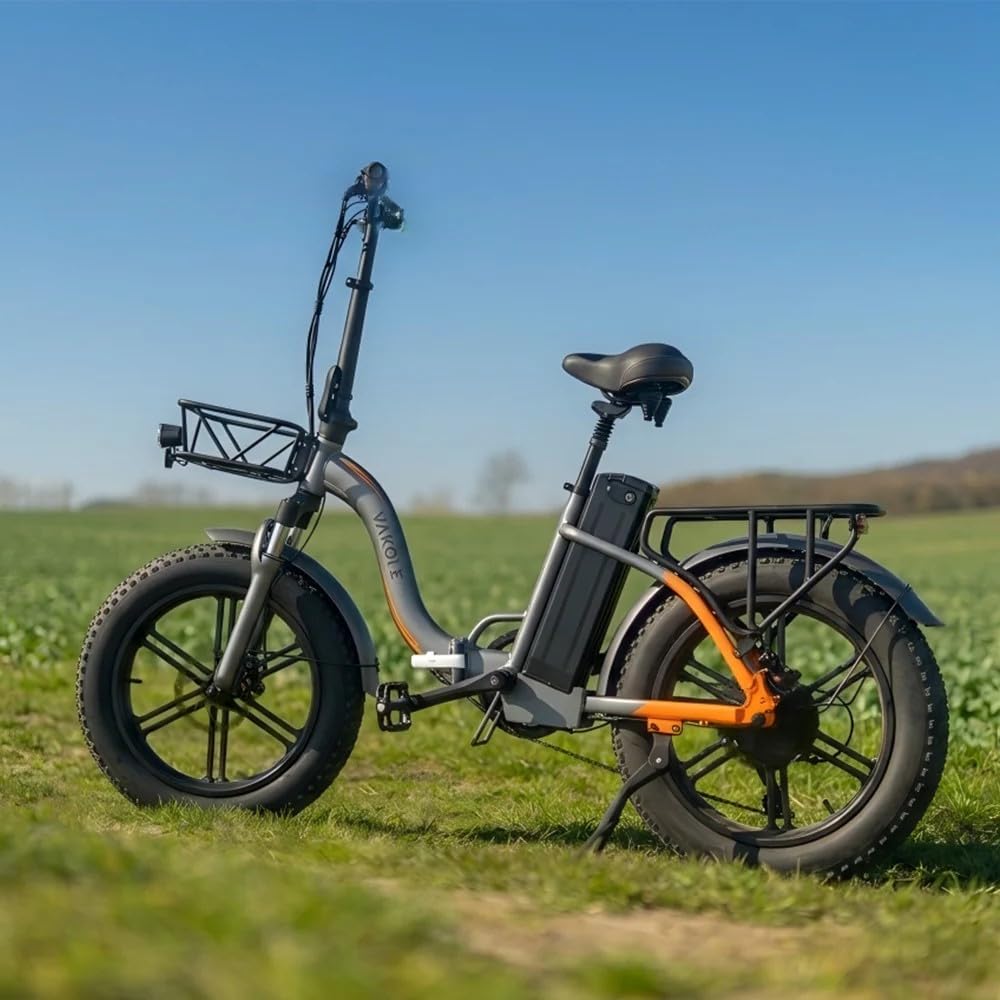 Y20 Pro E-Bike Klapprad Elektrofahrrad mit 48V30Ah Akku Bis zu 150KM | 20x4.0 Zoll, 250W Heckmotor, 7 Gang Schaltwerk, Tiefeinsteiger Fatbike Citybike für Damen u. Herren